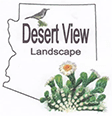 A desert view landscape with a bird and cactus.