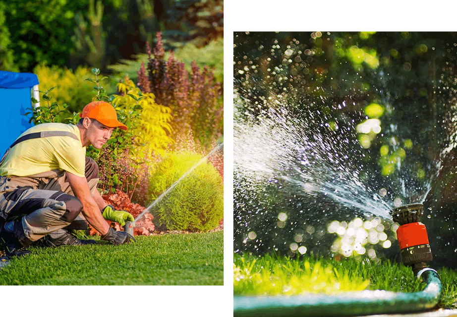 A man is watering the grass with water from a hose.