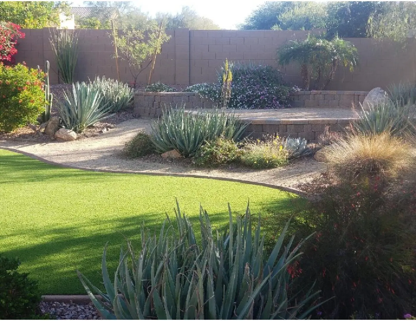 A backyard with grass and plants in it